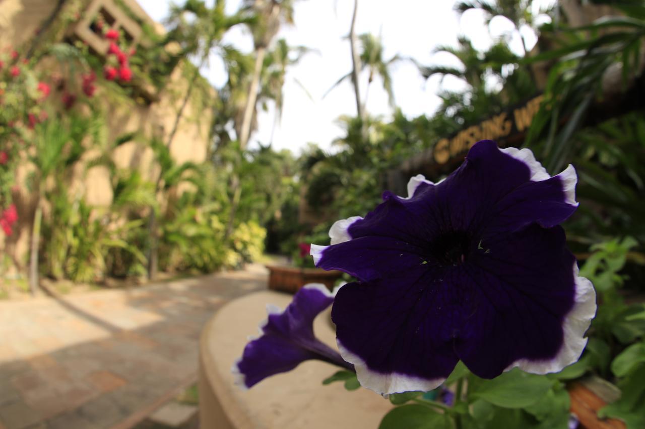 Villas El Rancho Green Resort Mazatlán Zewnętrze zdjęcie